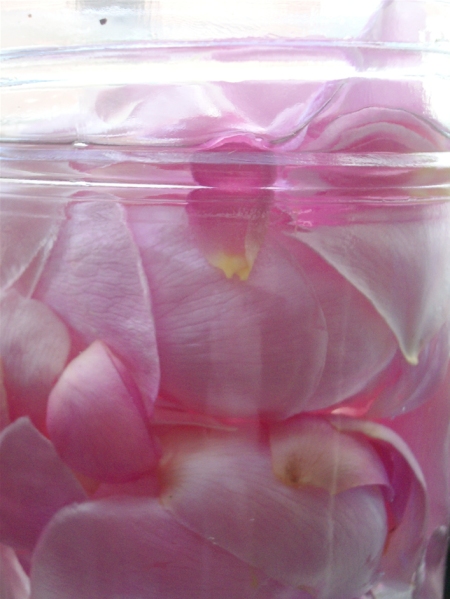 infused_rose_2