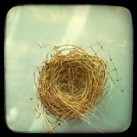 "Empty Nest" by Bucks County Frames on Etsy 